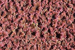 Image: Trevor James © Trevor James 